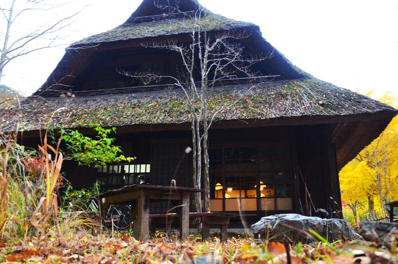 Saiko Iyashi no Sato Nenba-16-11-2024 - Japón y sus Pueblos-2024 (10)