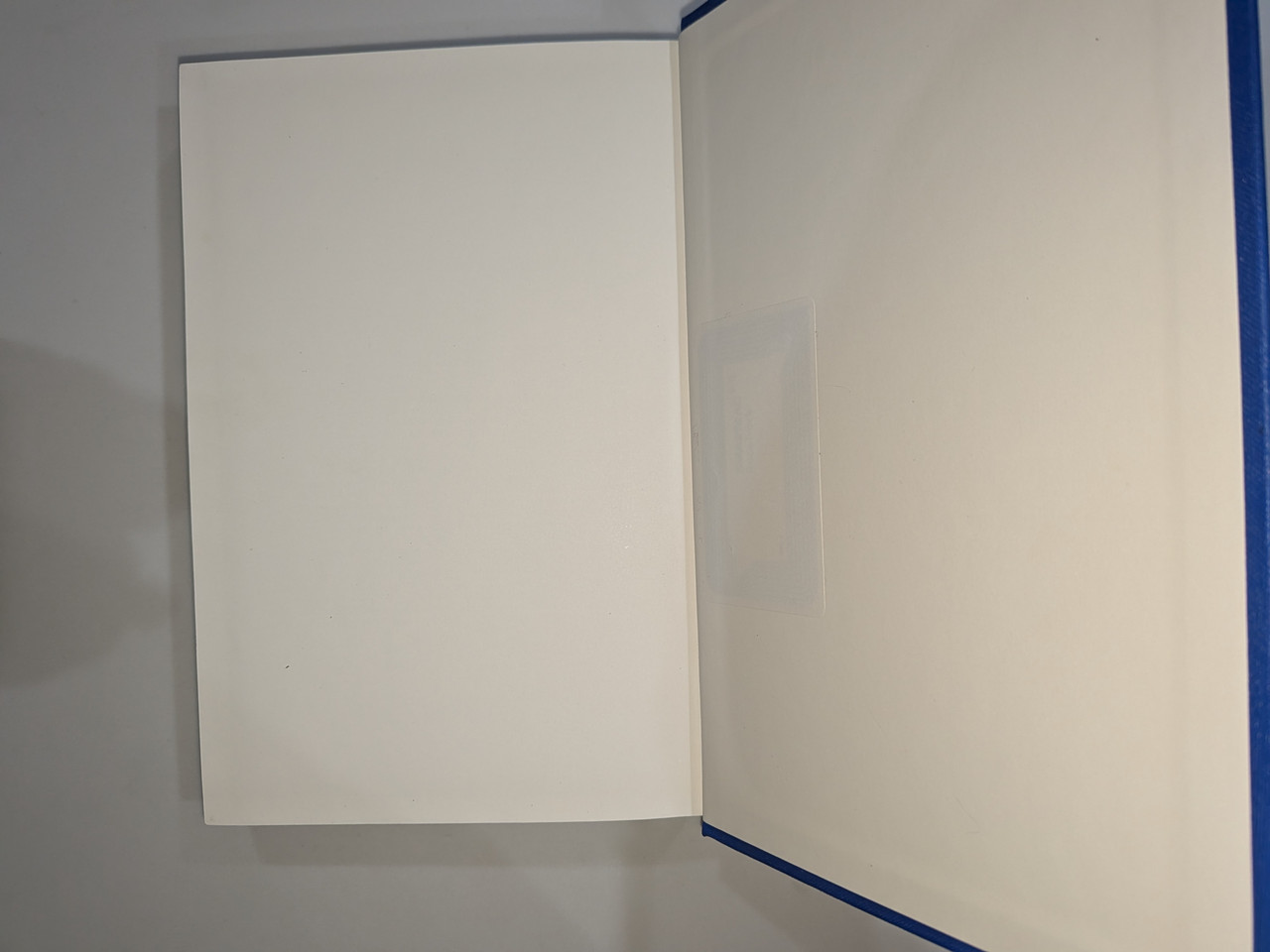 Book Detail 19