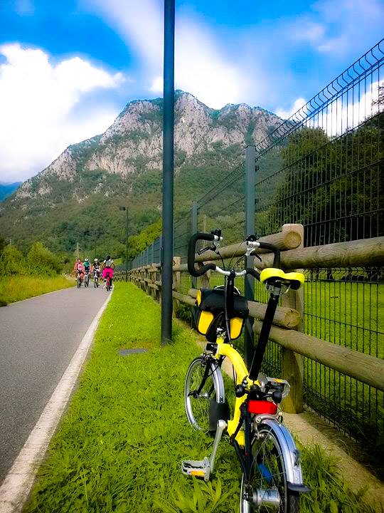 1896762_877010272310545_6137156179265513943_n