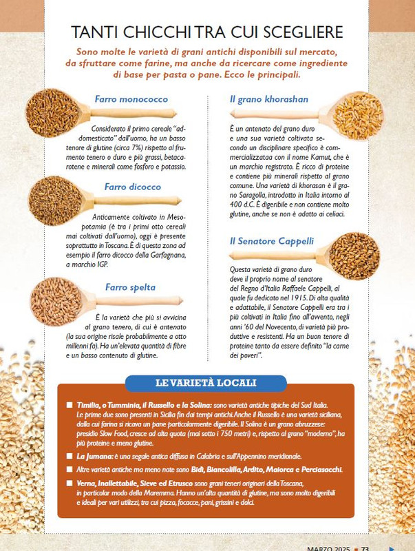 Sal Nat Mar 2025 (12)