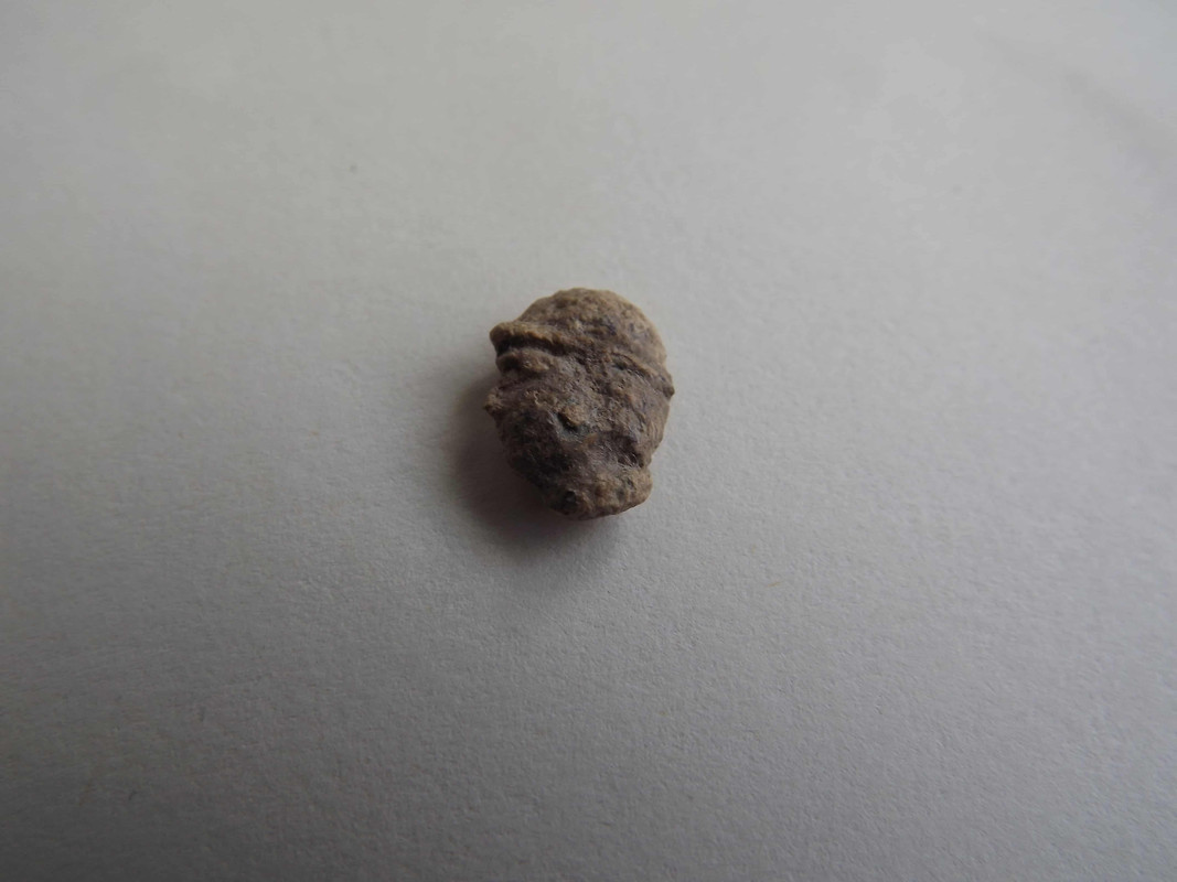 DSCF1872