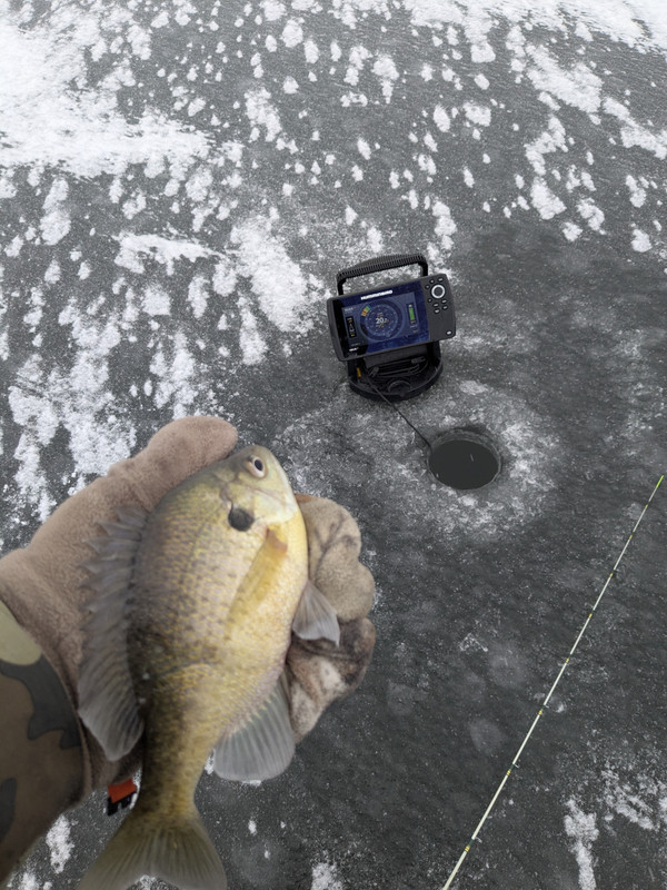 PXL 20251213 150455102