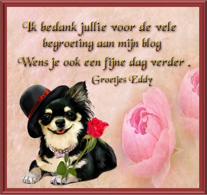 Welkom bij Pps Eddy