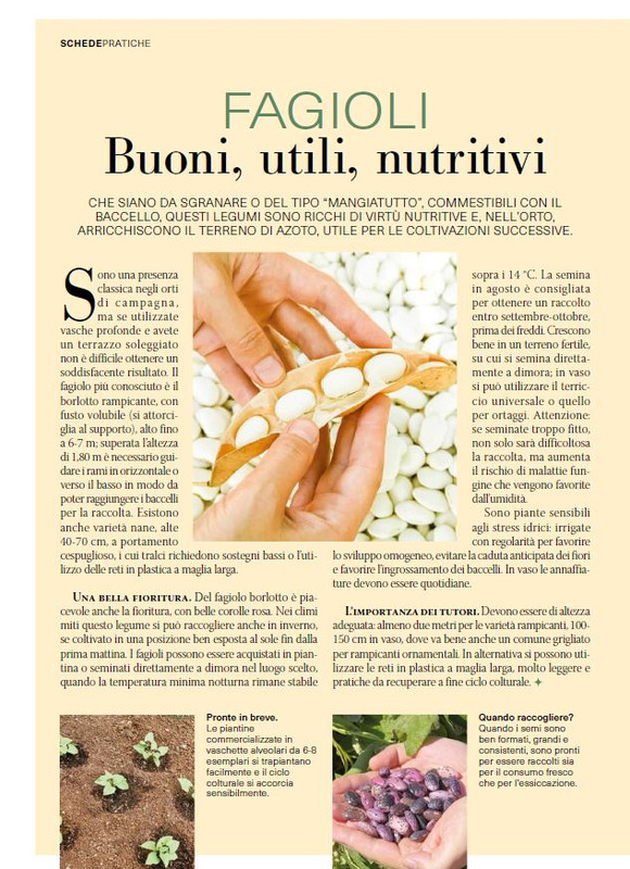 Il Mio Giar Ago-Set 2025 (3)