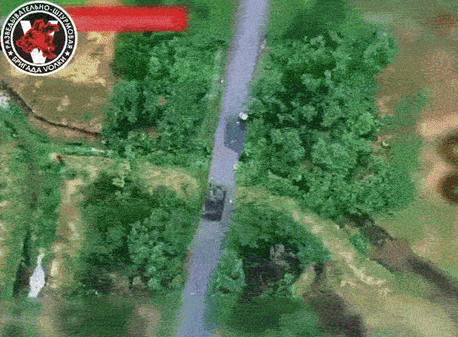 https://i.postimg.cc/vHfVm7PD/ezgif-8fc5898686d59e4f-(2).gif