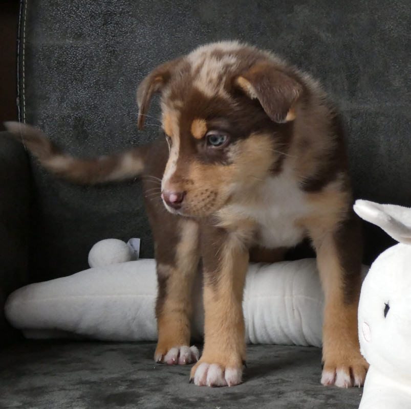 F30B1462-B371-4A5B-B037-B622DC3C1029