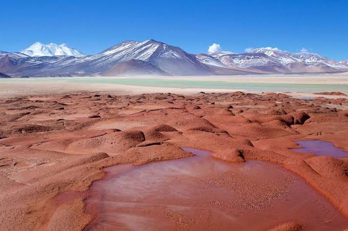 Piedras Rojas y Lagunas Altiplánicas