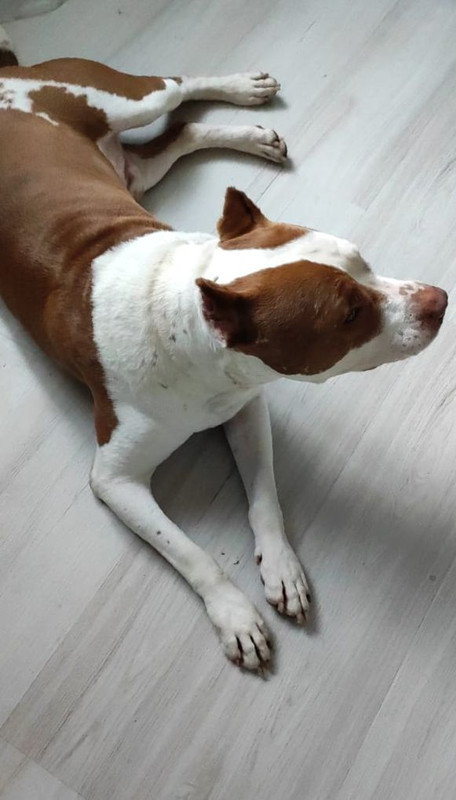 BF3E1358-6585-4987-AB7C-73BFE7C923E8