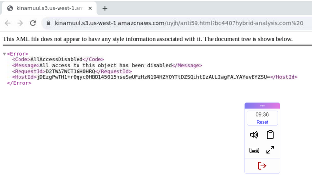 Inhalt der Phishing-Site