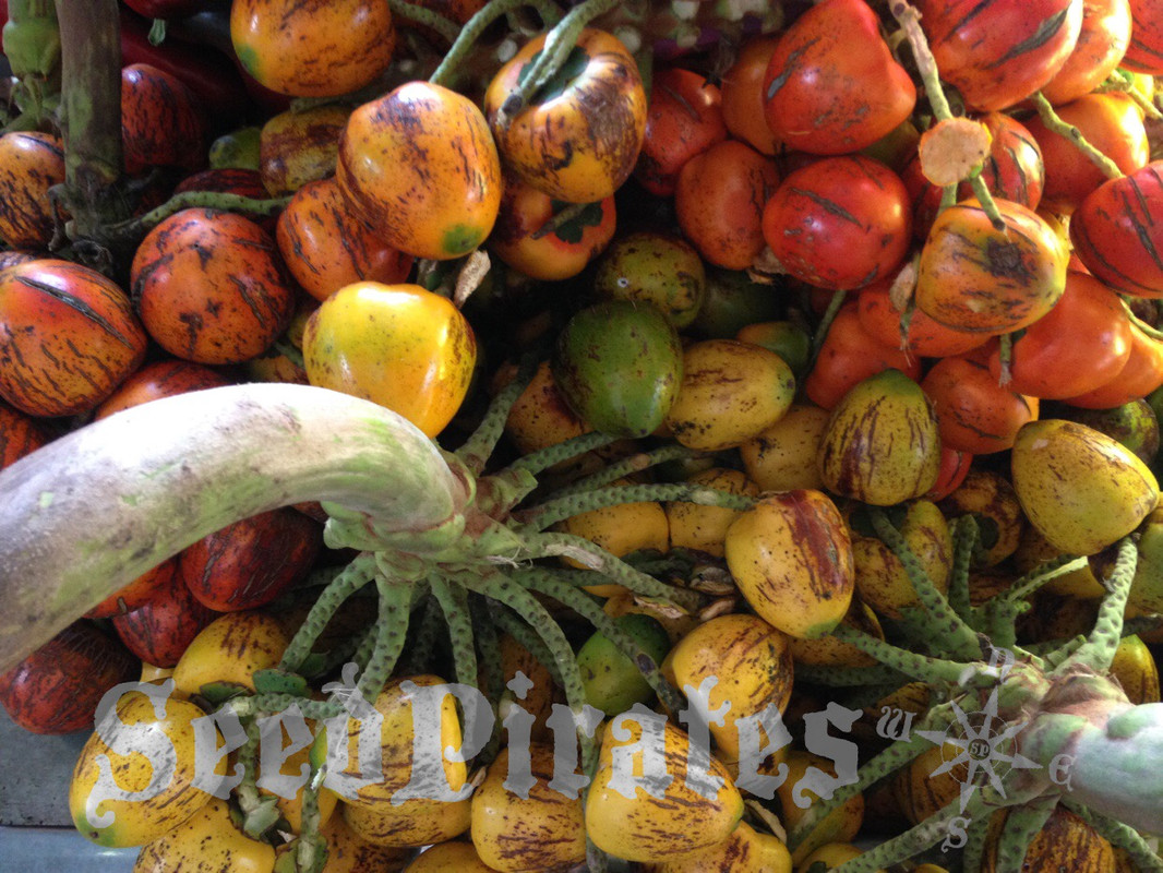 84A67402-1EA3-4CA2-A346-96B33C051845