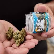 Explore live rosin, weed gummies, and premium cannabis products at BayFarmz with discreet ordering, quality selection, and trusted online delivery.