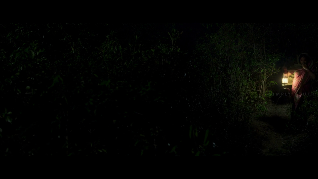 vlcsnap 2025 11 02 13h38m47s225