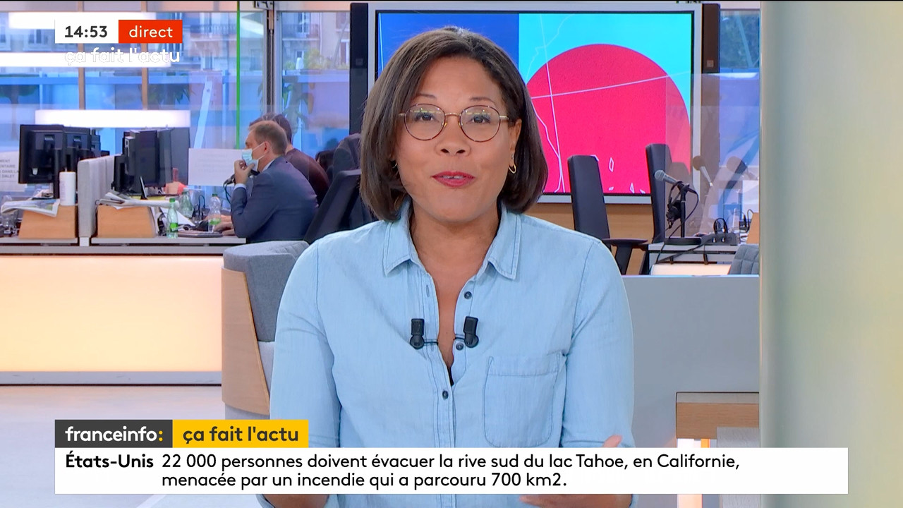 08.31 - 12.59.00 - Le 14h-17h. Au sommaire   Vrai ou fake. - francein....ts_snapshot_00.57.16.620