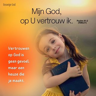 vertyrouwen