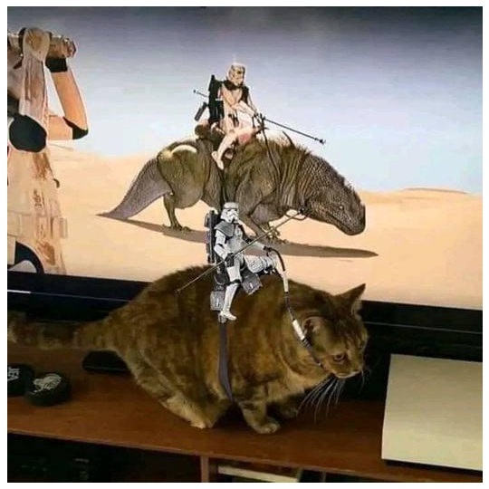 starwarscat.jpg