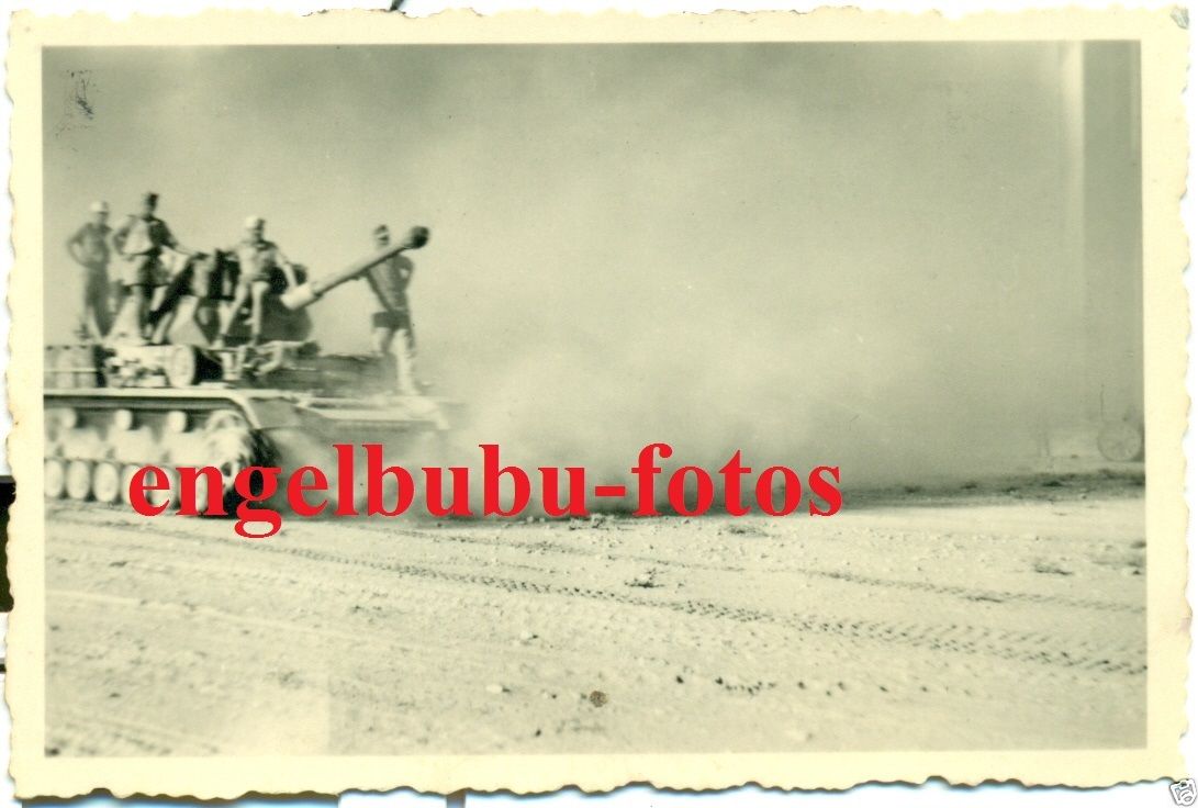 PANZER-Gren-Regt.160 AFRIKA - PANZER - Wüsten-Ei