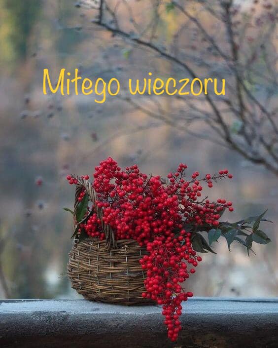https://i.postimg.cc/vHgY6cM5/409402174-3329603777339141-394266374829970941-n.jpg