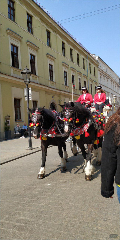 photo_2019-04-11_17-15-37 (2)