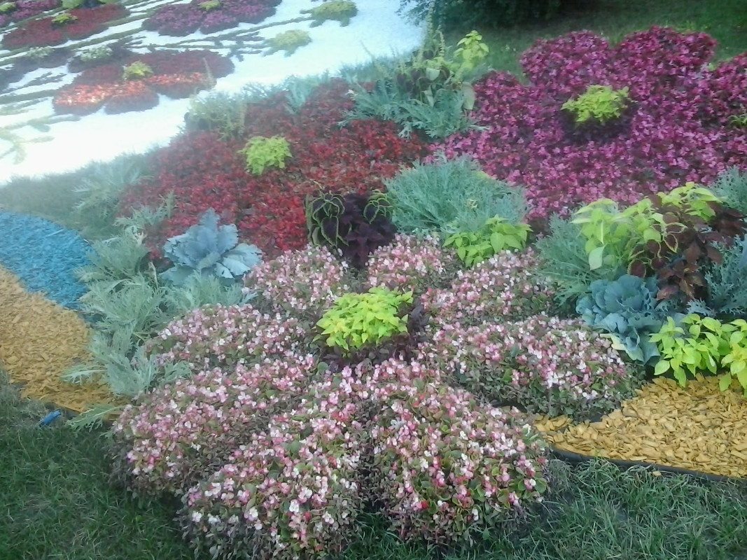 2015-08-25-17-42-30.jpg