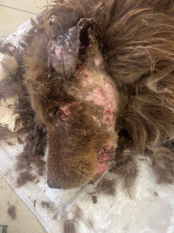 WhatsApp Image 2024-03-30 at 17.08.32 (2)