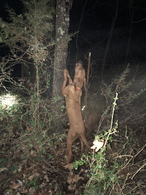 BB248969-CEB3-473F-9F51-1DC2DF74D71A