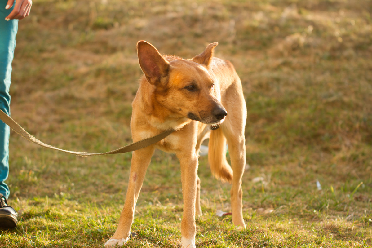 без имени-5386