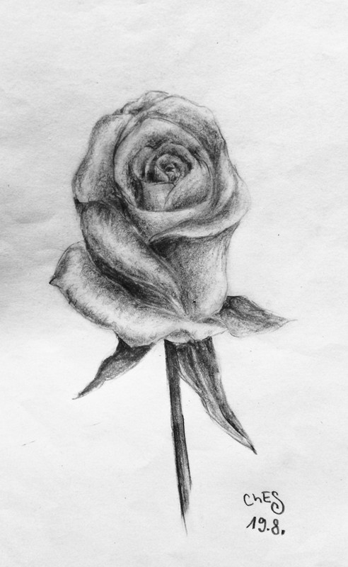 64AF1D06-A81A-48B5-BD3F-349856FA11C5