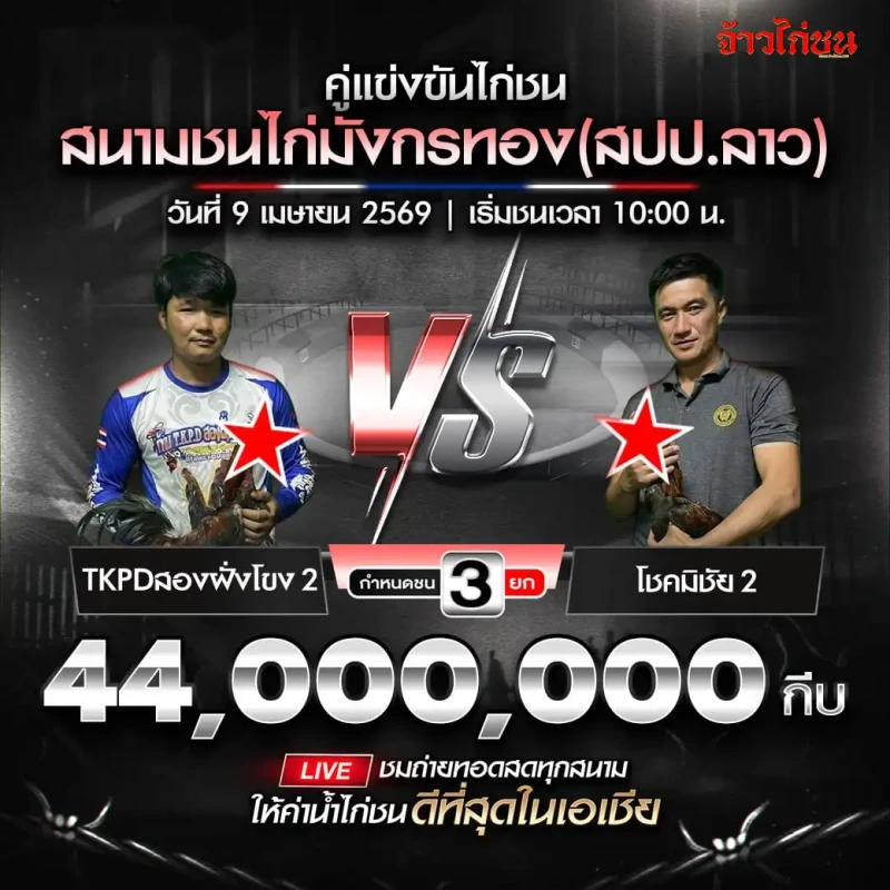 โปรแกรมไก่ชน สนามชนไก่มังกรทอง 9 เมษายน 2569 TKPDสองฝั่งโขง 2 vs โชคมีชัย 2
