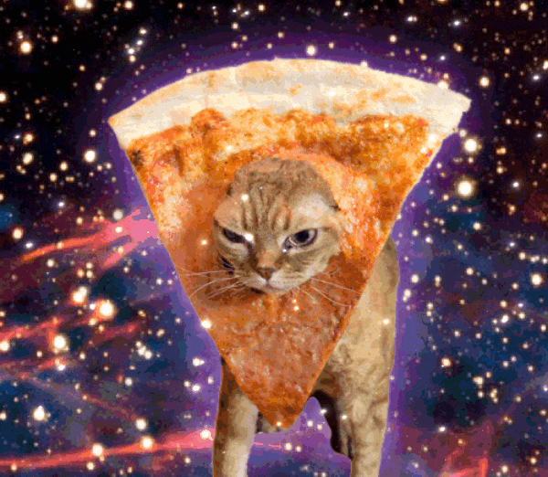 GIF-20250822-175001-857.gif