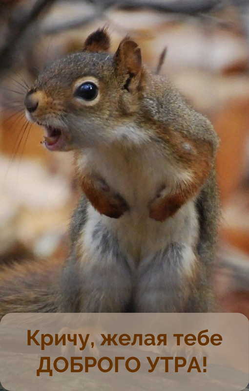 utradobrogo_ru_9937 (1) (1)