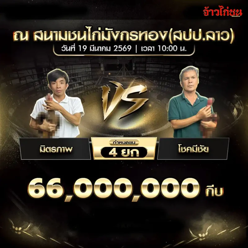 โปรแกรมไก่ชน คู่มิตรภาพ vs โชคมีชัย สนามชนไก่มังกรทอง