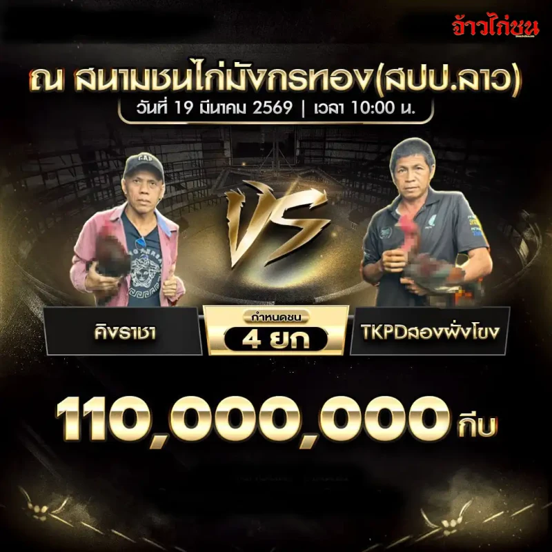 โปรแกรมไก่ชน คู่คิงราชา vs TKPDสองฝั่งโขง สนามชนไก่มังกรทอง