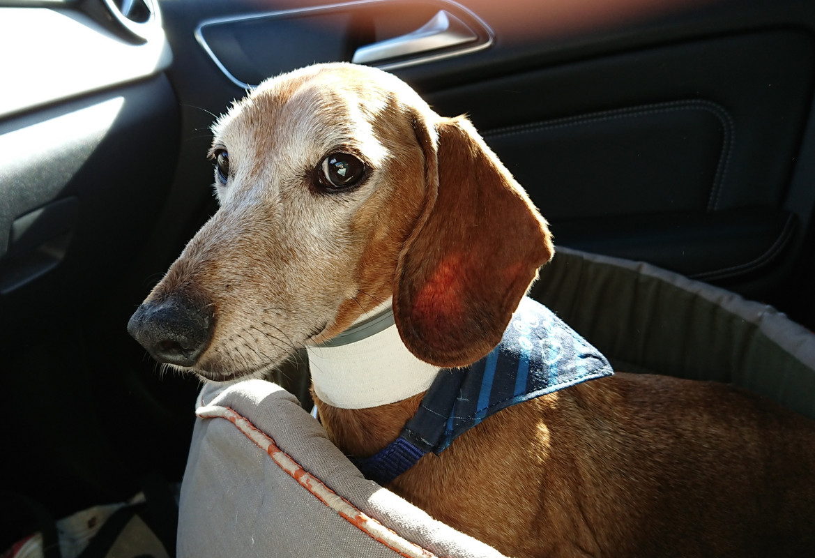 [Image: 20231003-165621.jpg]