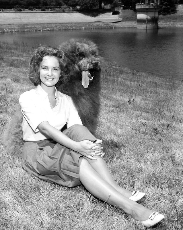 shelley_fabares_b30