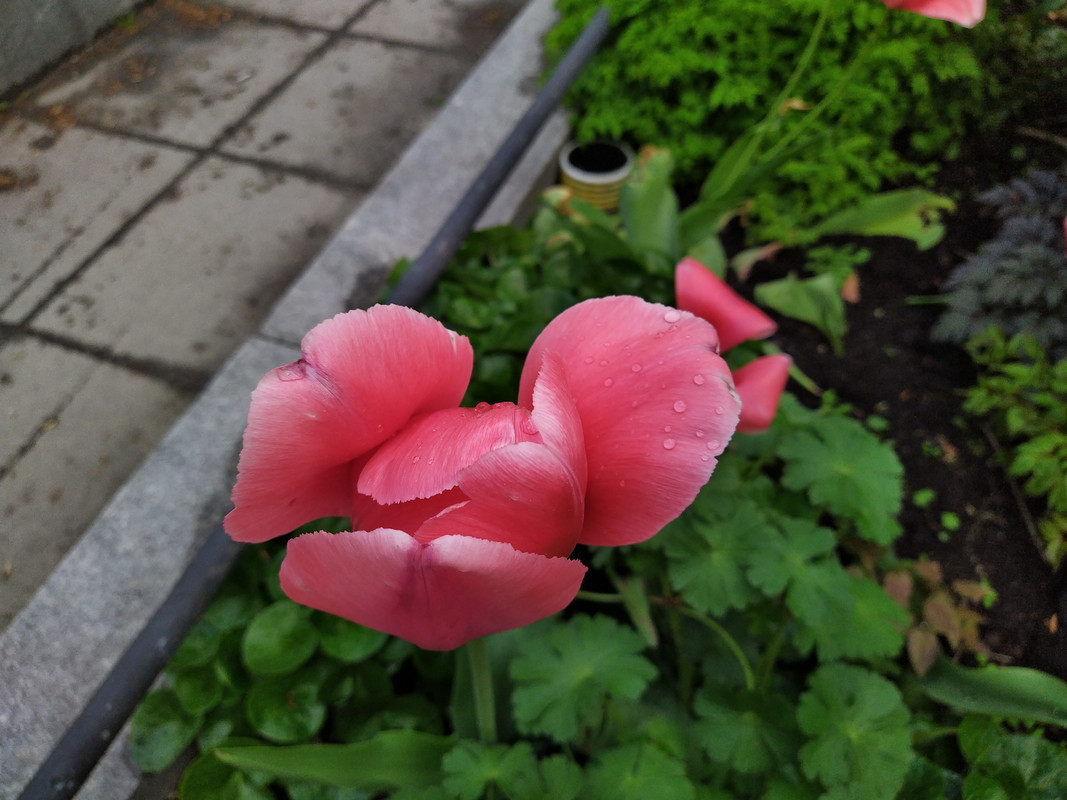 IMG_20210519_172918