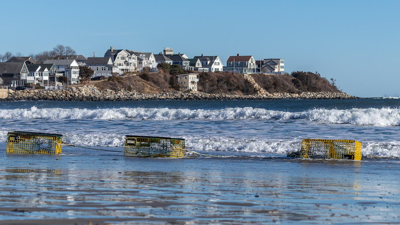 HB Before Christmas 7