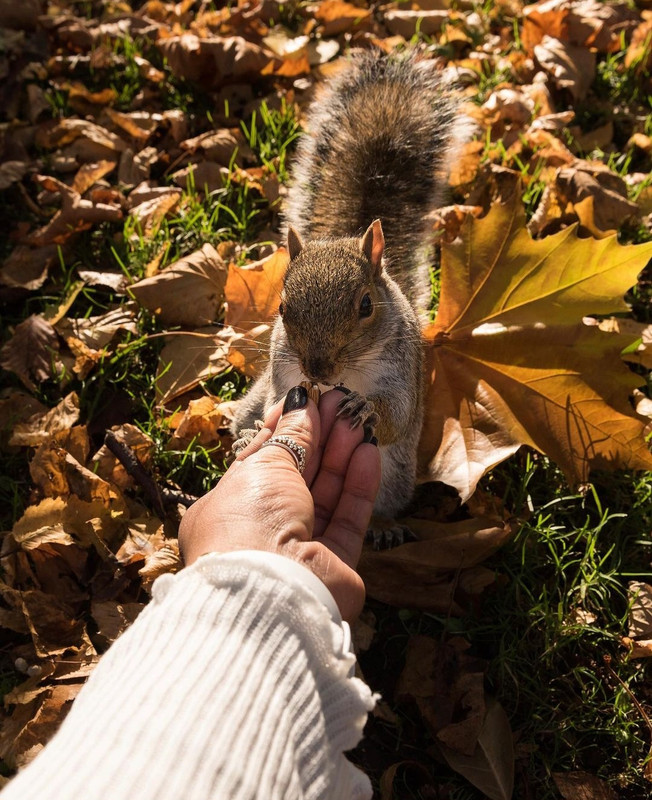 Screenshot_20231208_213240_Instagram