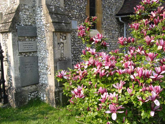 8746739-108440788731