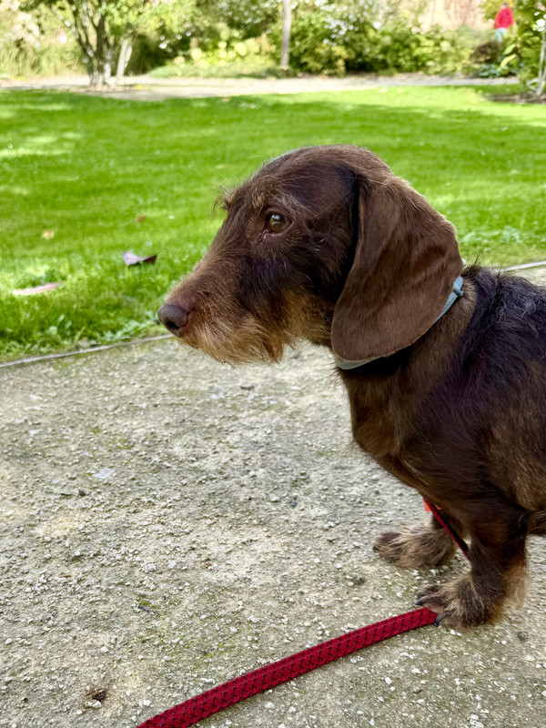 [Image: IMG-3253.jpg]