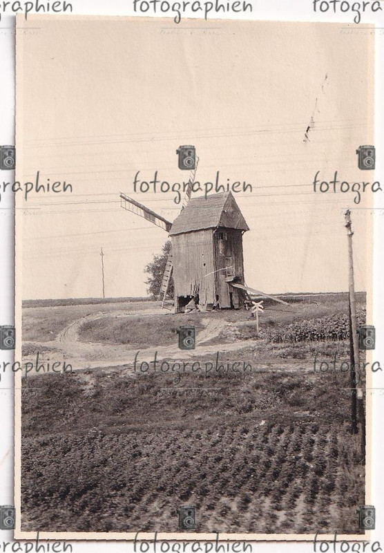 org. Foto Polen bei Tomaszów Mazowiecki Windmühle 1940