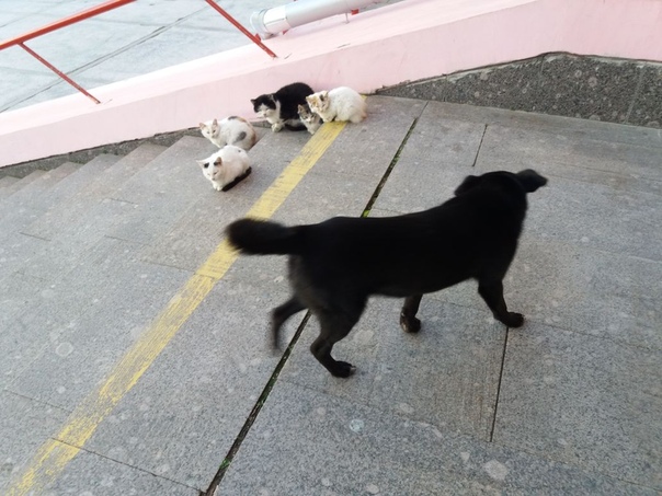 2D6225E4-973D-4F30-B839-806C722A3556