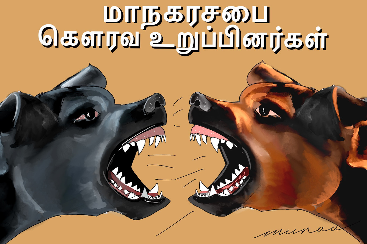 CAEEB493-CE74-4-C61-BF85-875-DDCBEF7-C2.