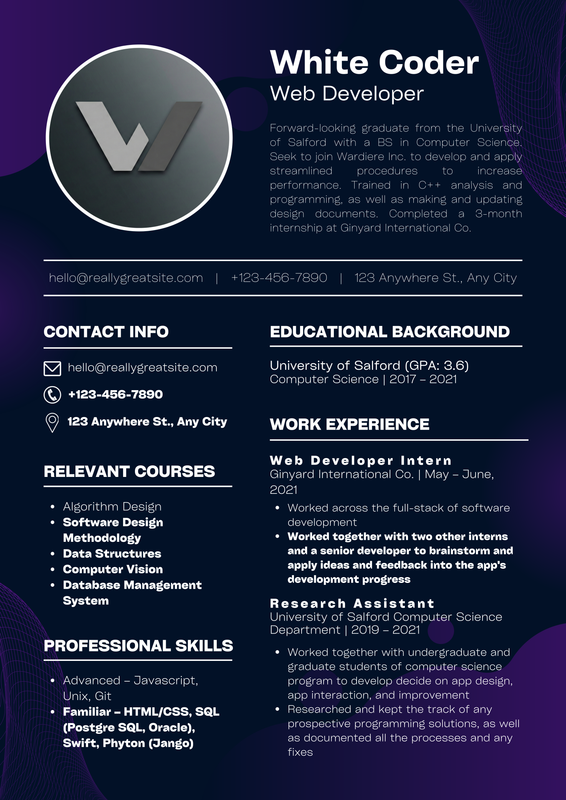 Executive CV