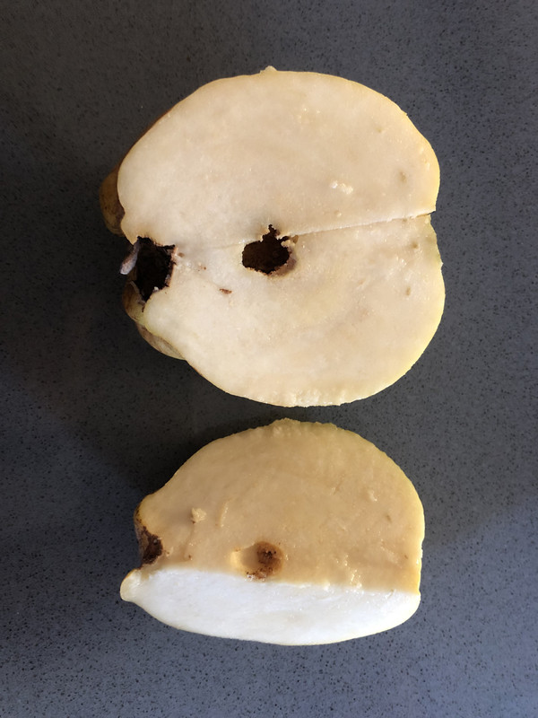 C4039DEF-6FB3-4C86-A0F9-AB0C576C7289