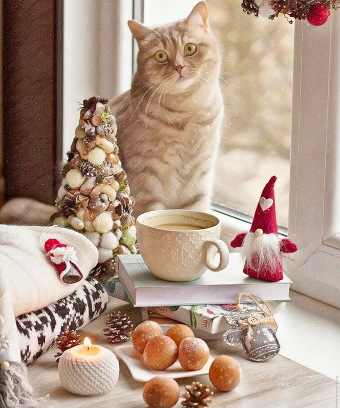 Screenshot_20231210_162843_Instagram