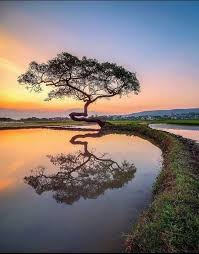 [Image: download-2020-05-28-T172651-789.jpg]