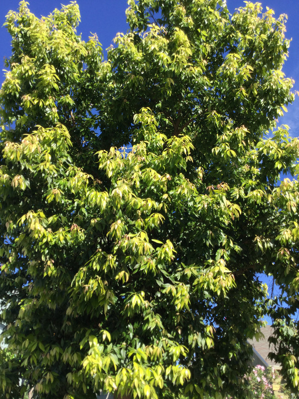 E08963D6-C55E-4C5B-8EE0-AC38B1A5AA94