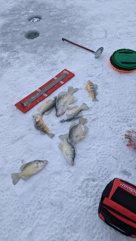 PXL 20260103 160844518