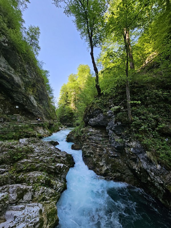 Slika