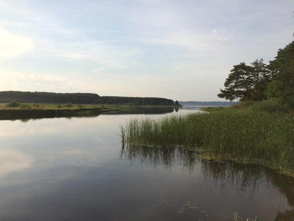 1 джиг спиннинг судак щука мастер-класс Куляпин Андрей катушка приманка (3)